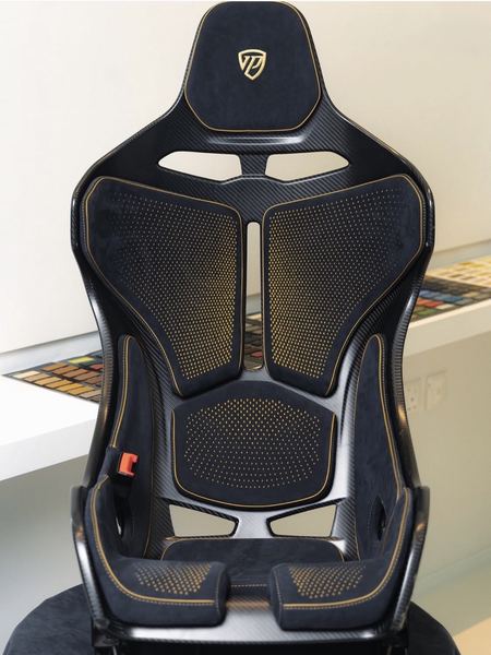 Carbon sport seat, laser-perforated panels, front